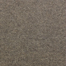 Ковролин Jacaranda Carpets Bilpar Steel Grey фото 1 | FLOORDEALER